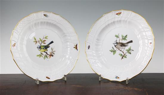 A set of twelve Meissen ornithological dinner plates, 19th century, 24cm